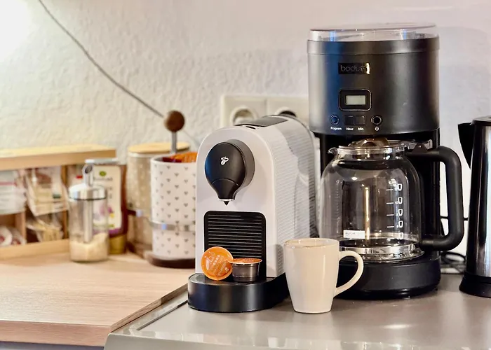 Bergling Im Zentrum • Netflix • Festungsblick • Obst Und Wein • 쾨닉슈타인 안 데어 엘베